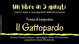 quotUN LIBRO 5 IN MINUTIquot  quotIl Gattopardoquot  romanzo di Giuseppe Tomasi di Lampedusa [upl. by Silsby]