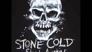 Stone Cold Steve Austin Classic Theme Song [upl. by Ninnahc]