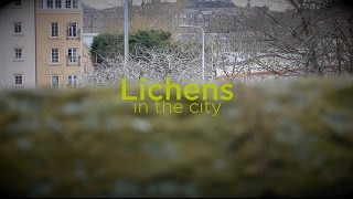 Lichens in the city short film 10min Scotland 2016 [upl. by Liatrice]