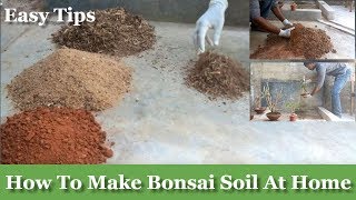 How to Make Bonsai Soil at Your Home for BeginnersGREEN PLANTS [upl. by Adnih]