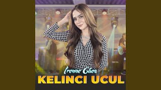 Kelinci Ucul [upl. by Rosenwald]