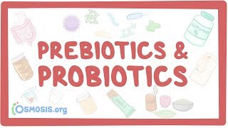 Prebiotics amp probiotics [upl. by Washburn55]