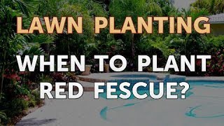 When to Plant Red Fescue [upl. by Greysun21]