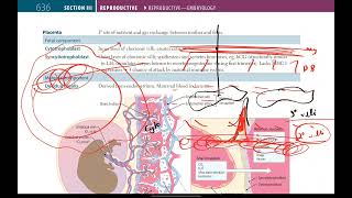 Placenta Amniotic fluid Umbilical Cord Fetal circulation  Reproductive  9  First Aid USMLE [upl. by Connolly]