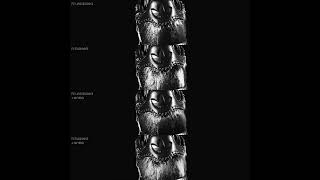 Scalable anisotropy capture and rendering Fur [upl. by Afira]