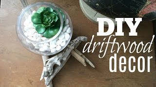 DIY Driftwood Decor [upl. by Hehre]