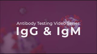 Antibody Testing IgG and IgM explained [upl. by Helfand]