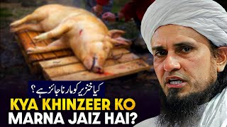 Kya Khinzeer Ko Marna Jaiz Hai  Ask Mufti Tariq Masood [upl. by Kele473]