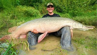 MONSTER Alligator Gar Fishing in Texas EPIC [upl. by Ahsenid]