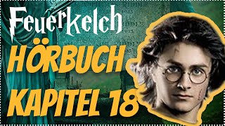 Harry Potter und der Feuerkelch Hörbuch Kapitel 18 Hörspiel Erwachsene Hörbuch Hörspiel [upl. by Duma]