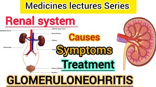 Urinary system in urdu human renal systemGlomerulonephritis Causes Treatment Amina Ilyas [upl. by Hackathorn]