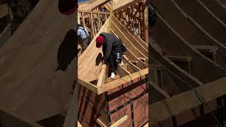 Roof framing diy construction framingcontractor woodwork shortvideo framinglife shorts [upl. by Winton]