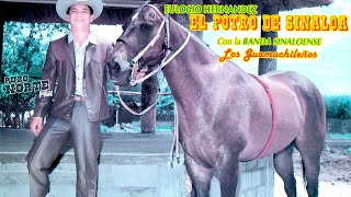 El Potro De Sinaloa  15 Exitos Canciones y Corridos [upl. by Airenahs227]