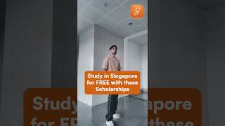 Study in SINGAPORE for FREE with these Scholarships 🤩 [upl. by Hobart]