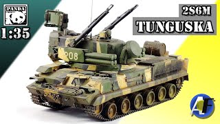 Panda Hobby 135 2S6M Tunguska After Build Review [upl. by Anitnerolf694]