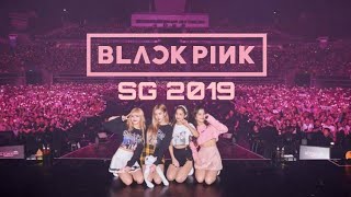 Blackpink in your area Singapore concert 2019  Vlog [upl. by Lamrej14]