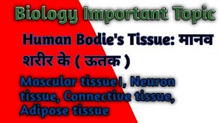 Biology Important Topic TISSUE उतक   Human bodies tissue  Biology class Tissue class [upl. by Aicilla53]