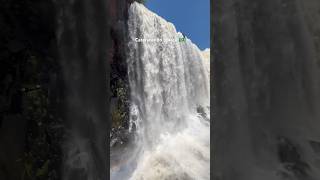 As lindas Cataratas do Iguaçu 🤍 paraná cataratasdoiguacu [upl. by Nalliuq588]