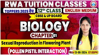 Class 12 Biology Chapter 1  Sexual Reproduction In Flowering Plant By Swabhi Mam [upl. by Gussi278]