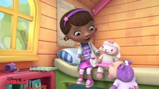 The Glider Brothers  Doc McStuffins  Disney Junior UK [upl. by Paynter985]