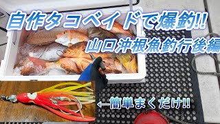 タイラバのヘッドにタコベイトつけたら爆釣しました。山口県沖根魚釣行後編 [upl. by Leena]