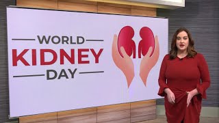 La Crosse woman awaits lifesaving kidney transplant on World Kidney Day [upl. by Zelten]