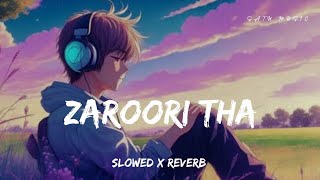 ZAROORI THA SLOWED X REVERB [upl. by Helge]