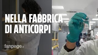 Covid viaggio nella fabbrica di anticorpi monoclonali di Latina [upl. by Lehte]