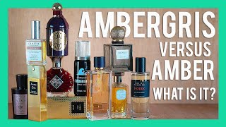 WHAT IS AMBERGRIS AMBER VS AMBERGRIS AMBERGRIS PERFUME REVIEWS [upl. by Yert]