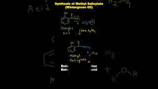 Wintergreen Oil  Methyl salicylate Esterification Reaction [upl. by Ayel]