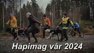 Hapimag vår 2024 [upl. by Yrkcaz]