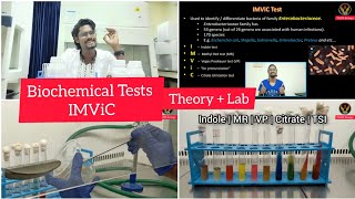 Biochemical Tests  IMViC  Tamil  Microbiology  Indole  MRVP  Citrate  Biology ThiNK VISION [upl. by Nnylsoj146]