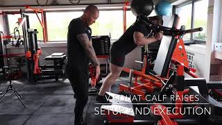 V Squat Calf Raises [upl. by Cohette]