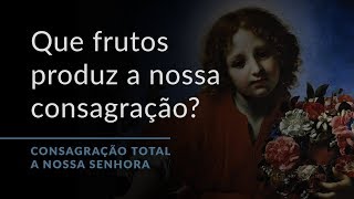 Que frutos produz a nossa consagração Consagração Total a Nossa Senhora17 [upl. by Anelhtak]