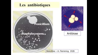 Bacteriologie  Antibiotiques FMPC [upl. by Oliver833]