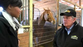 Behind the the Scenes at Remington Park  Trainer James Lackey [upl. by Hnamik]