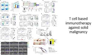 Improved efficiency of CAR Tcell Immunotherapy against solid malignancy Ovarian Cancer Code 715 [upl. by Kern]