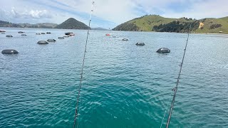 Thamescoromandel New Zealand overnight fishing trip [upl. by Boak529]