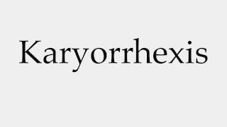 How to Pronounce Karyorrhexis [upl. by Aynna]