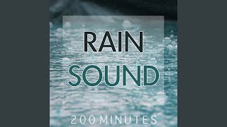 Rain Sound Pure White Noise for Natural Deep Sleep Inducing [upl. by Ainaled]