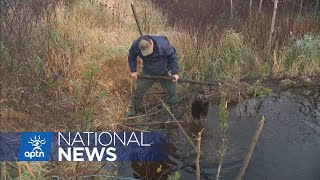 Quebec holds consultations on lithium mine with Cree of Eeyou Istchee  APTN News [upl. by Annanhoj]