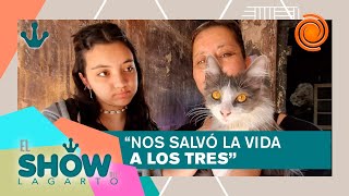 Lola la gata heroína salvó a una familia atrapada en un incendio [upl. by Tlihcox]