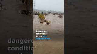 Los Angeles River rages after heavy rains hit Southern California Shorts [upl. by Esinrahc825]