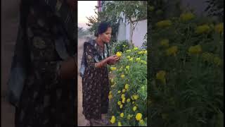 Banthi prema ❤️youtube flowers banthipuvvuyellow subscribe instagram mychannel [upl. by Pinkerton]