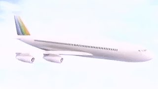 Transbrasil Flight 801  Crash Animation [upl. by Drolyag]