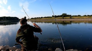 Barbelen met kaas 11 Leuke sessie met verrassende bijvangst [upl. by Haroldson84]