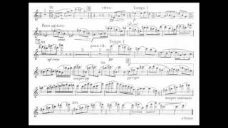 Bartok B mvt1 1st violin concerto [upl. by Eirahs]