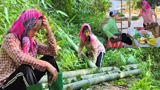 Mother pulled onions to sell and went to the forest to cut bamboo to prepare to build a new house [upl. by Siloam]