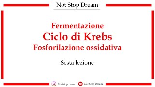 6  Fermentazione Ciclo di Krebs Fosforilazione ossidativa [upl. by Dore]