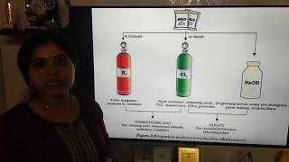 Chlor  Alkali ProcessCBSEClass XBeeta Samuel [upl. by Ycrep]